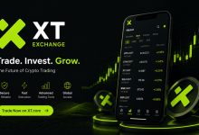 xt-market
