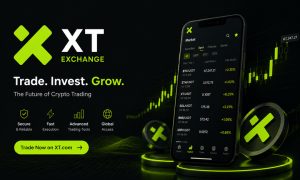xt-market