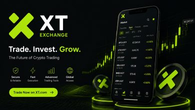xt-market